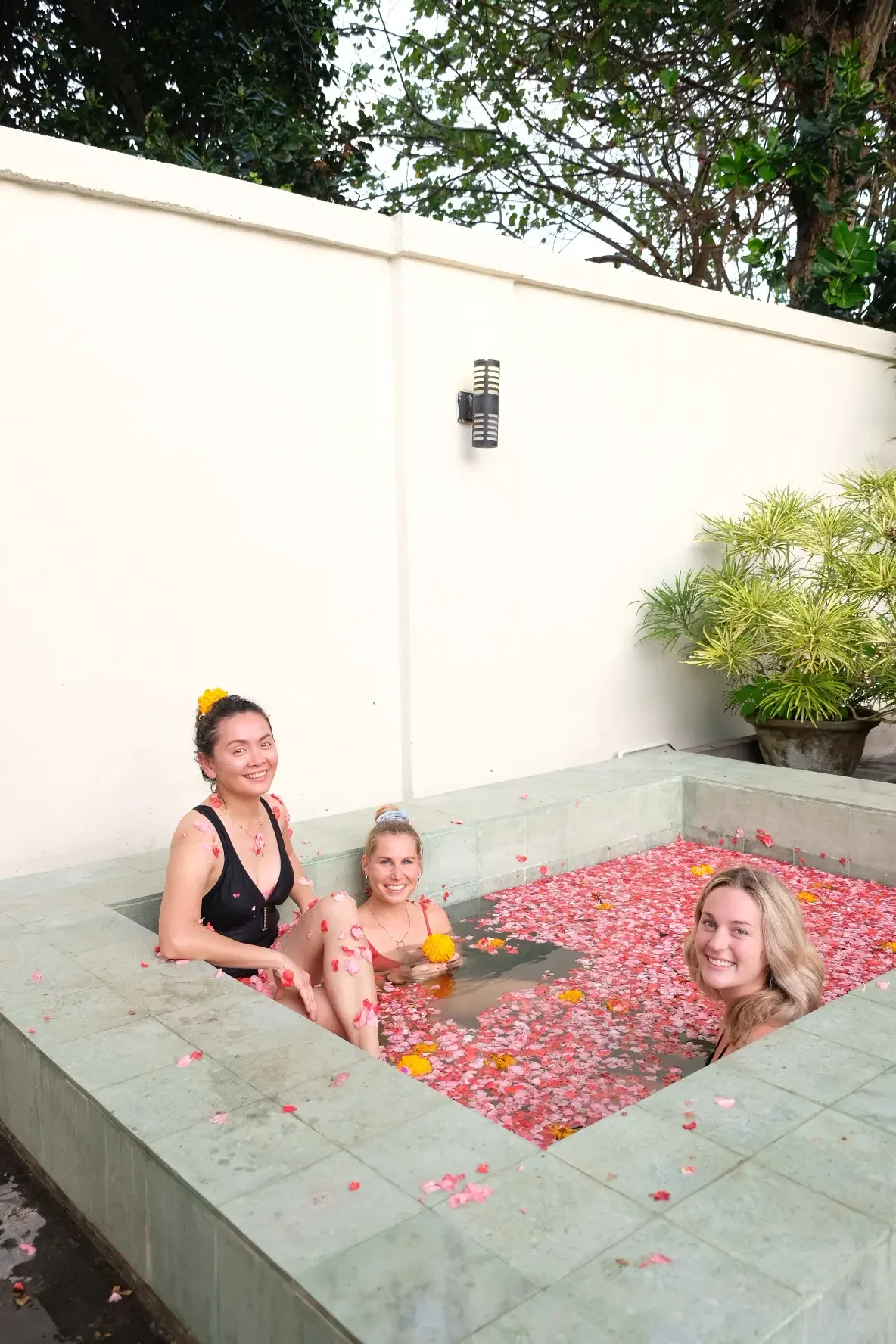 Wellness Retreat