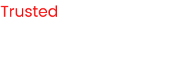 Drivers & Tour