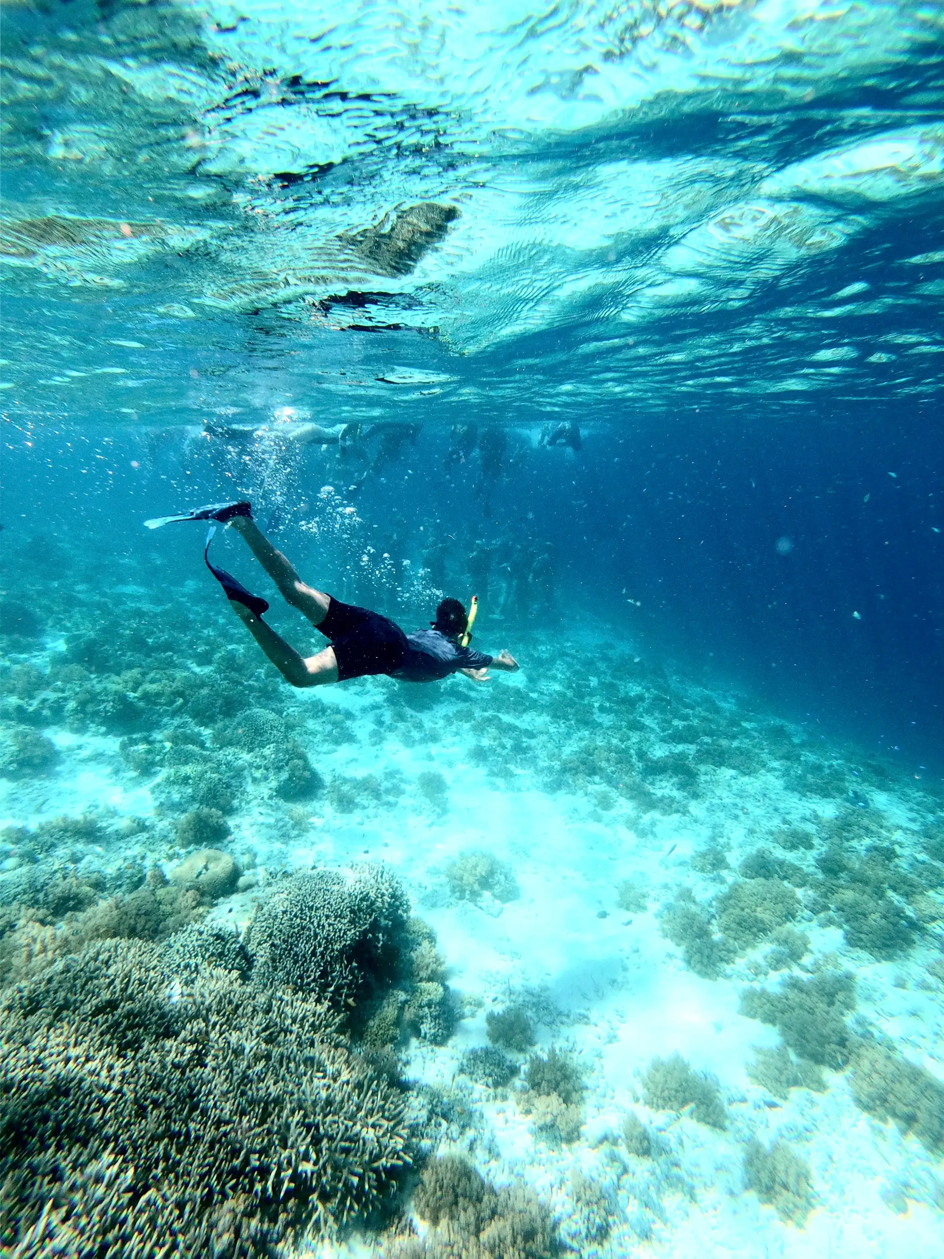Snorkelling