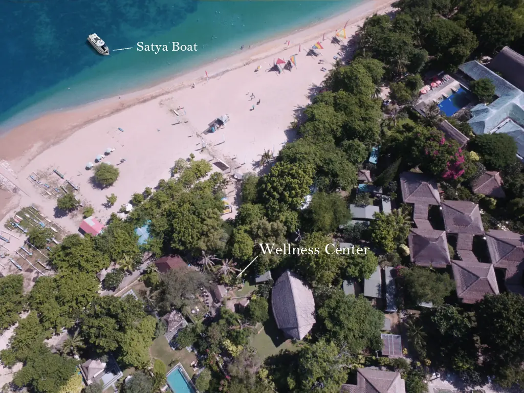 Wellness Retreat